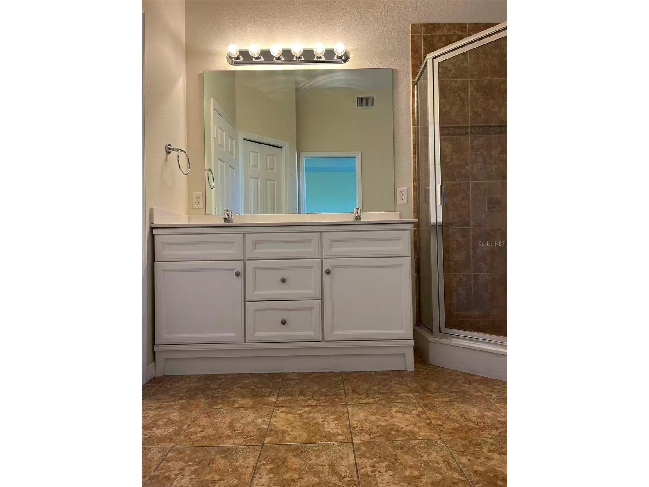 16217 Via Solera Circle #101 Fort Myers FL 33908 TB8462561 image9