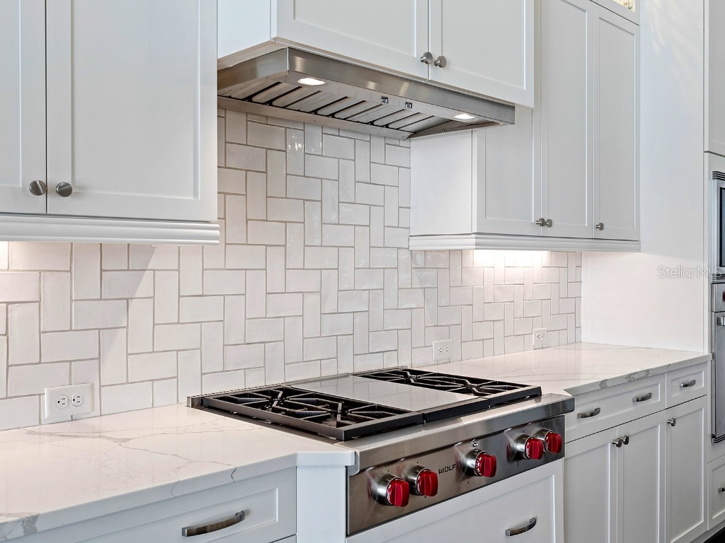 16218 Daysailor Trail Lakewood Ranch FL 34202 A4674575 image16