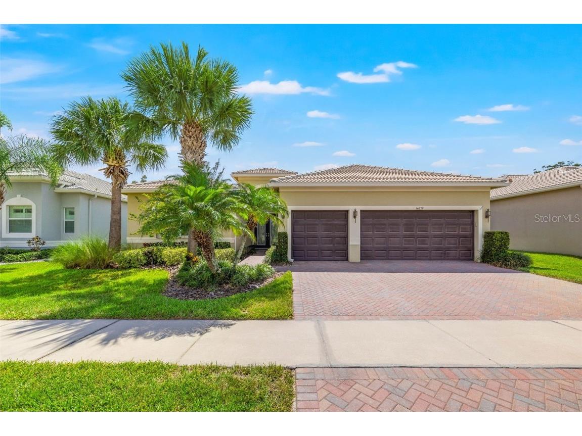 16219 Diamond Bay Drive Wimauma FL 33598 U8212398 image1