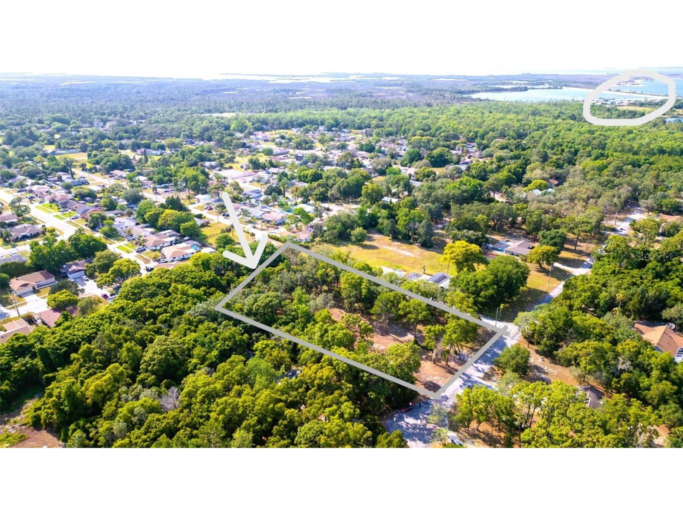 16219 Larson Lane Hudson FL 34667 TB8358545 image1