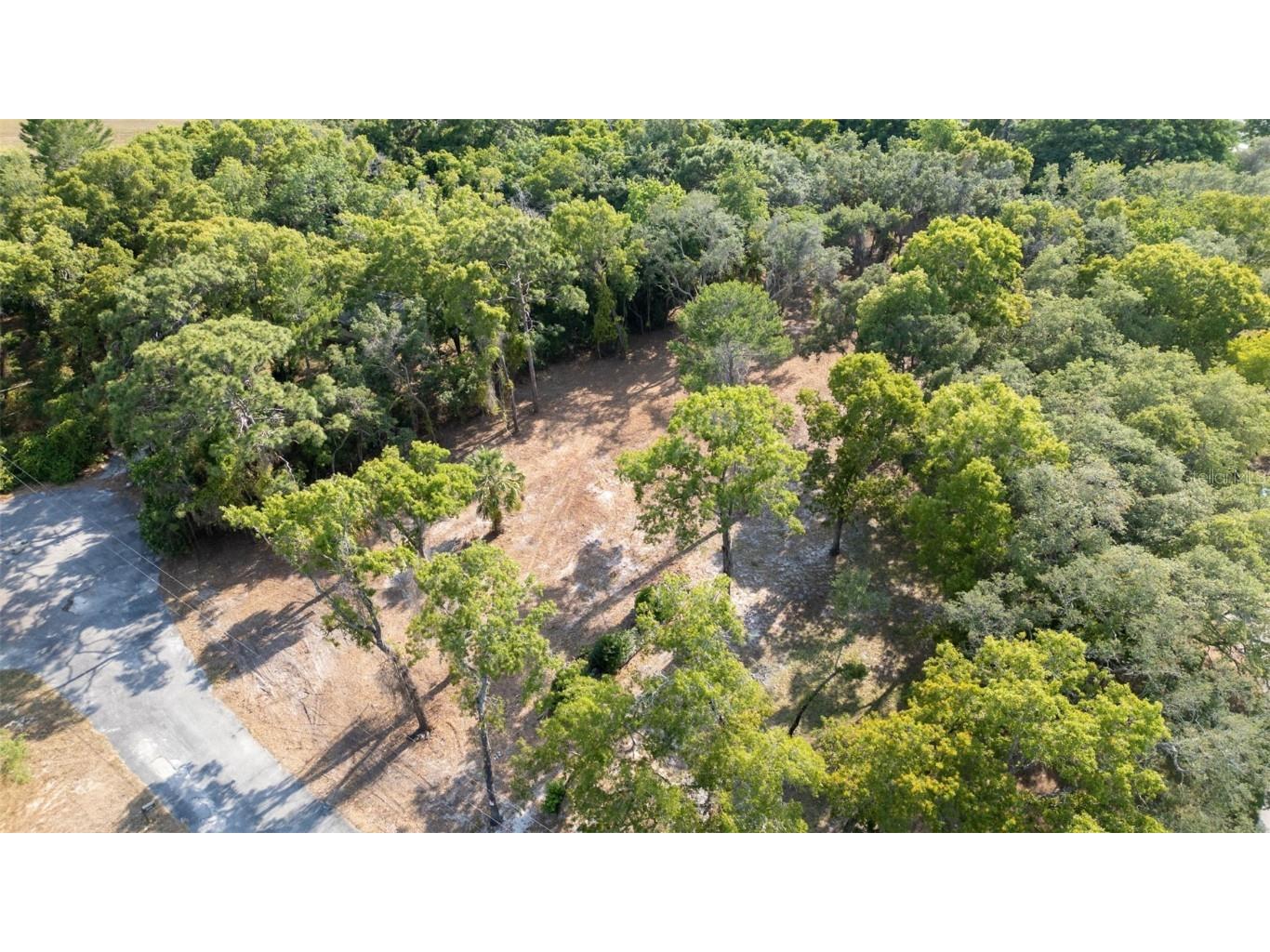 16219 Larson Lane Hudson FL 34667 TB8358545 image14