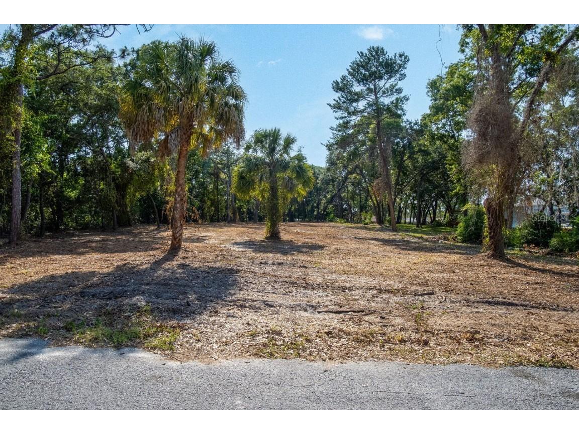 16219 Larson Lane Hudson FL 34667 TB8358545 image3