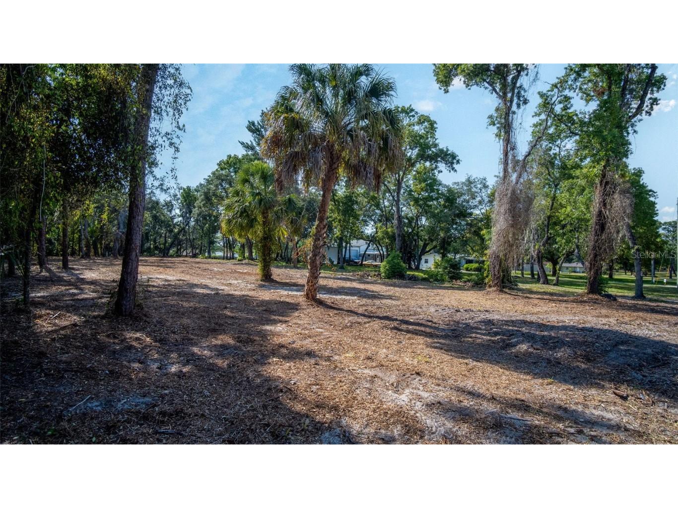 16219 Larson Lane Hudson FL 34667 TB8358545 image4