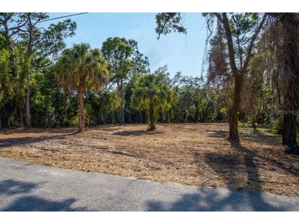 16219 Larson Lane Hudson FL 34667 TB8358545 image5