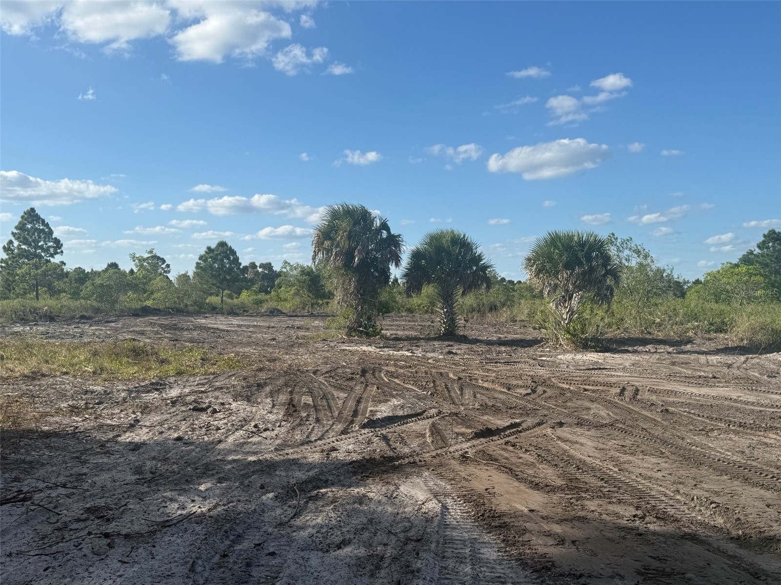 16219 NW 282nd Street Okeechobee FL 34972 K4903432 image3