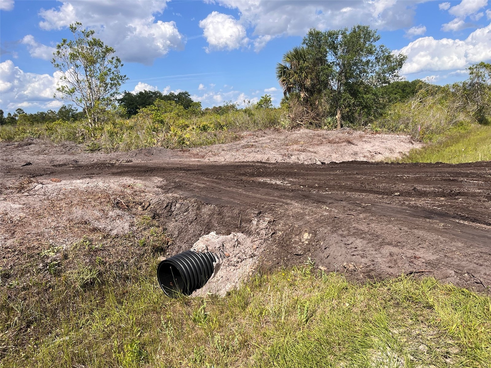 16219 NW 282nd Street Okeechobee FL 34972 K4903432 image5