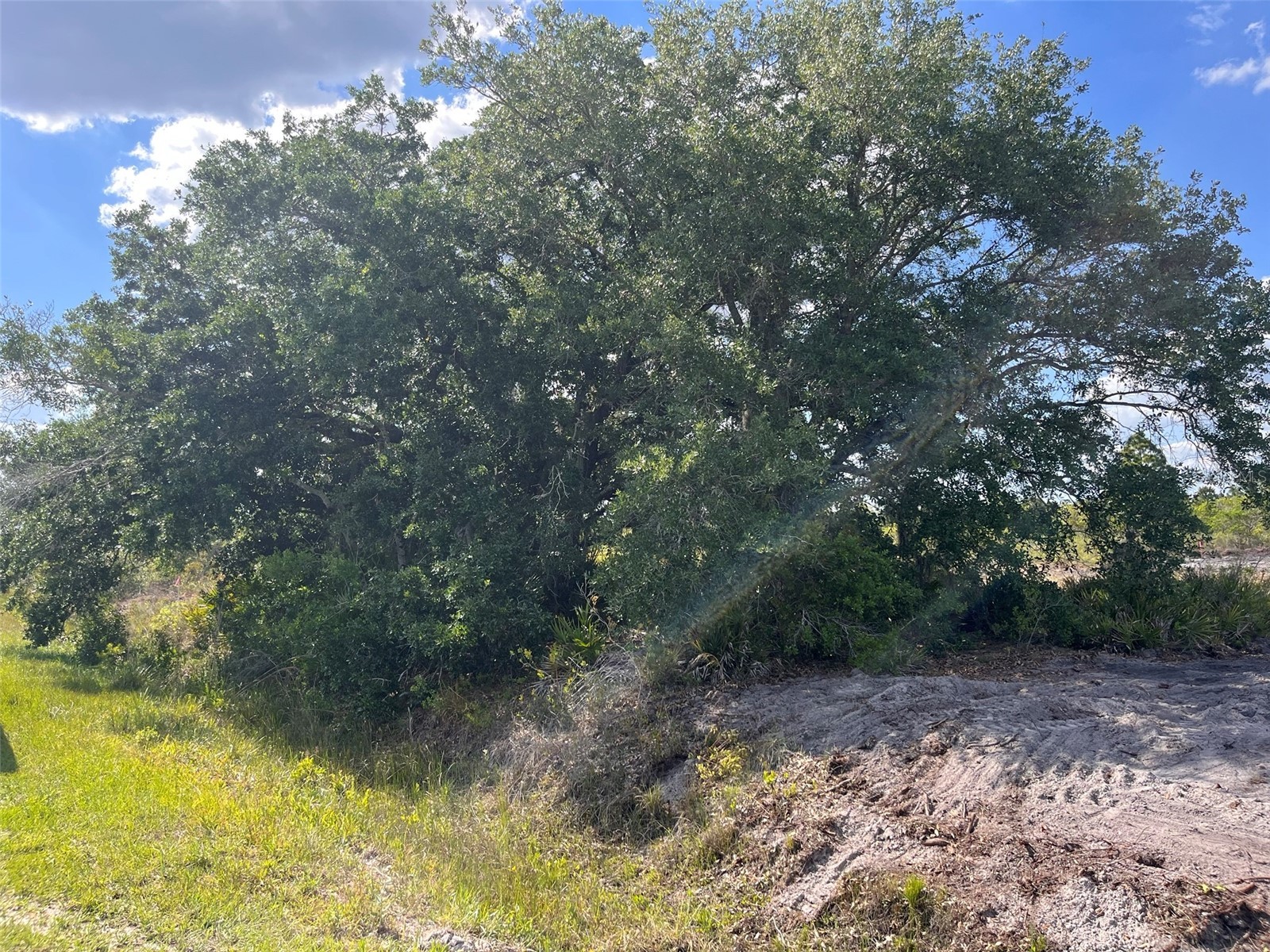 16219 NW 282nd Street Okeechobee FL 34972 K4903432 image7
