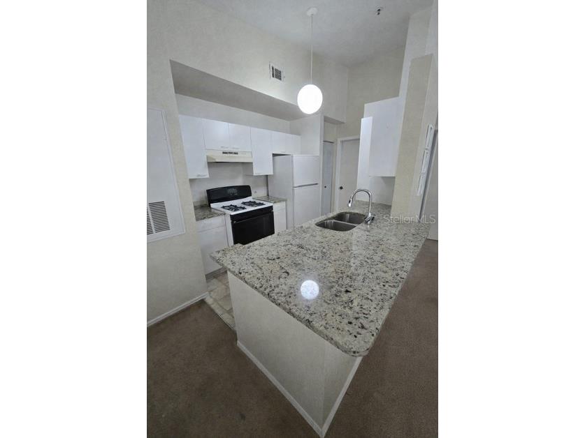 1622 Columbia Arms Circle #268 Kissimmee FL 34741 S5146000 image3