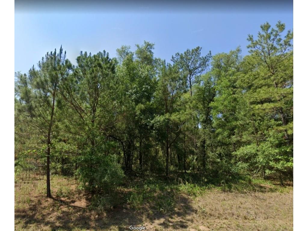 1622 E Ivydale Drive Citrus Springs FL 34434 O6147947 image1