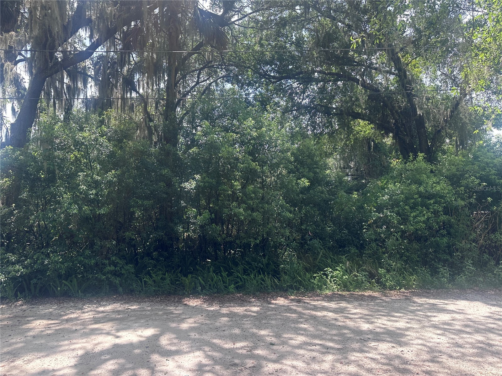 1622 Palm Street Deland FL 32720 O6424320 image2