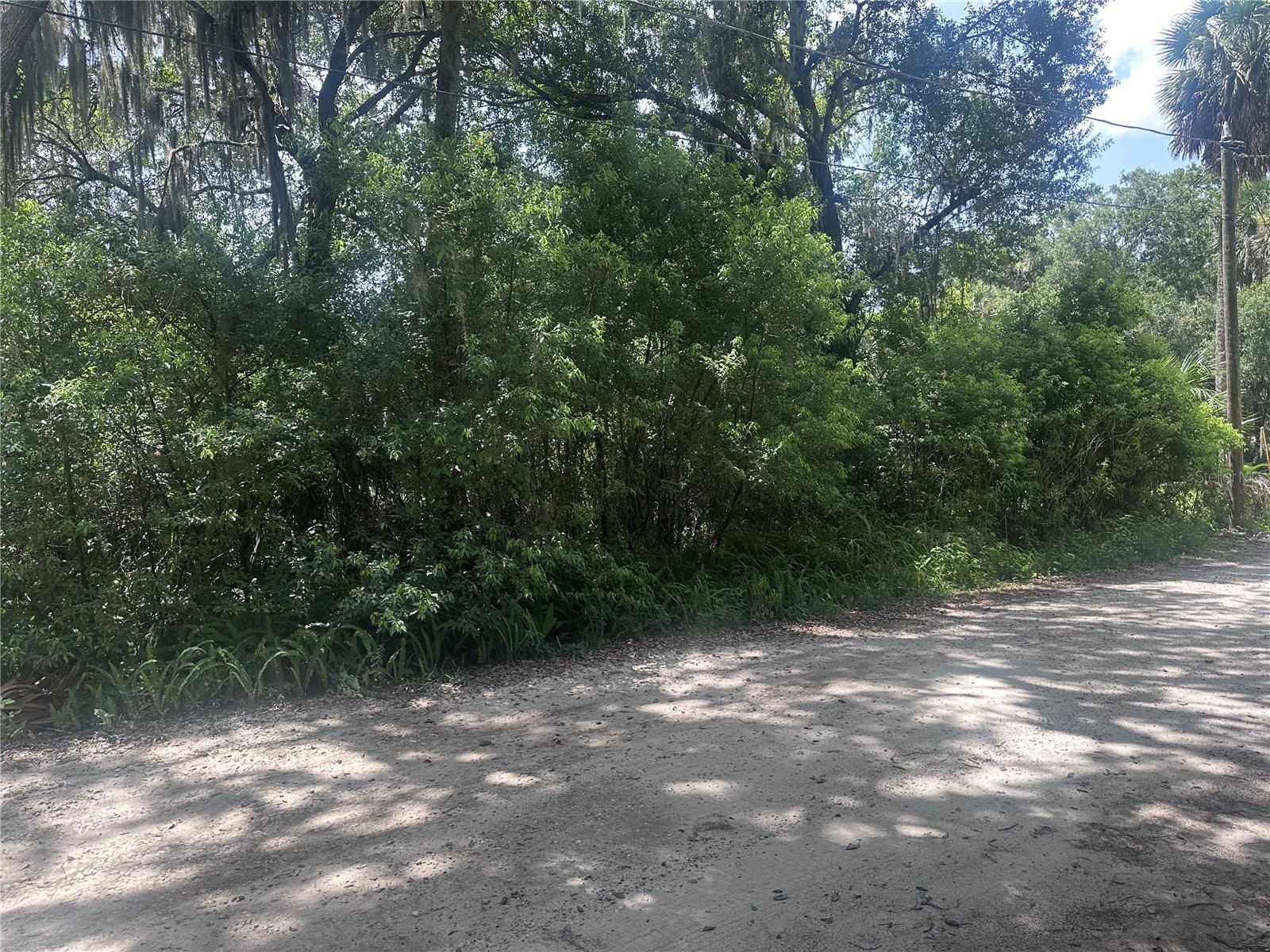 1622 Palm Street Deland FL 32720 O6424320 image4
