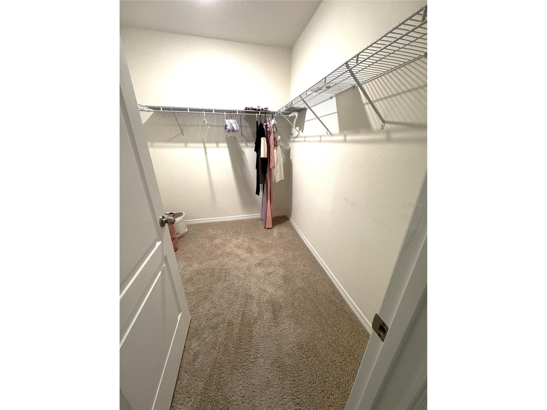 1622 Reddish Egret Court Davenport FL 33897 S5153262 image21
