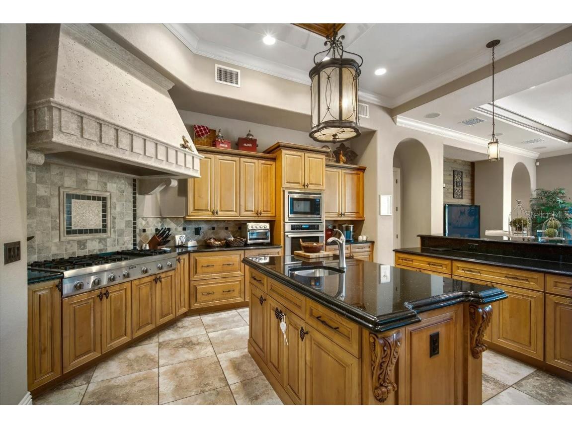 16220 Ternglade Drive Lithia FL 33547 TB8436306 image12