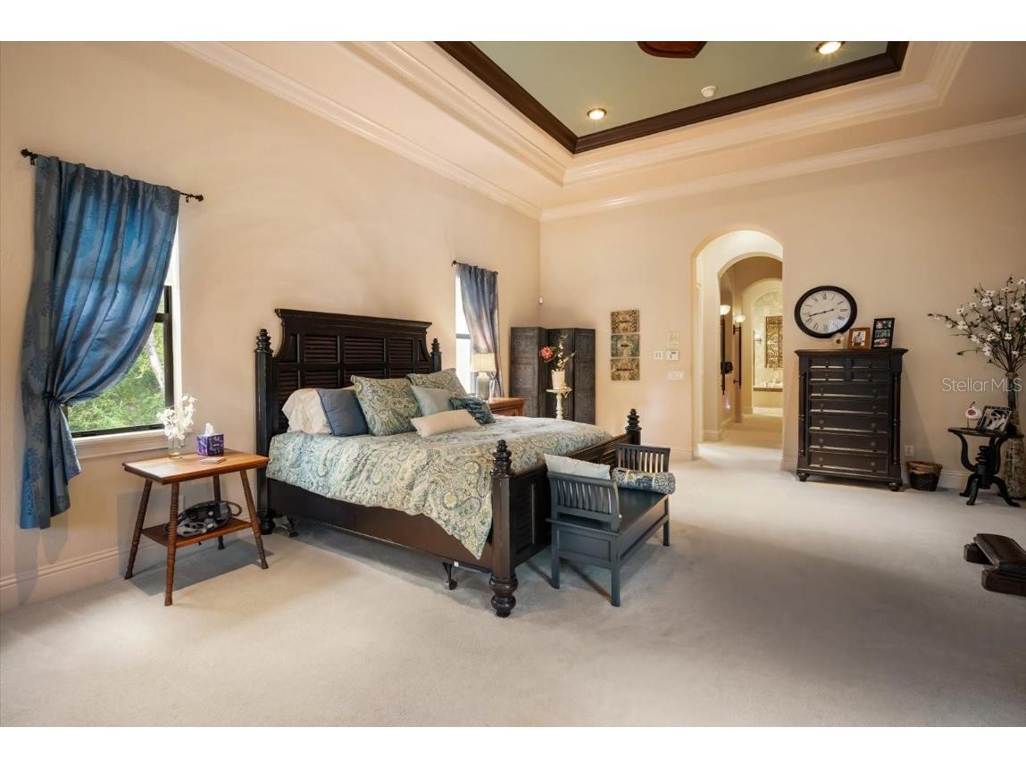 16220 Ternglade Drive Lithia FL 33547 TB8436306 image20