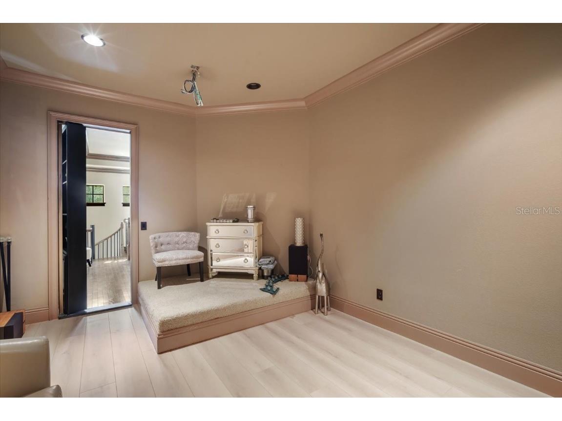 16220 Ternglade Drive Lithia FL 33547 TB8436306 image28