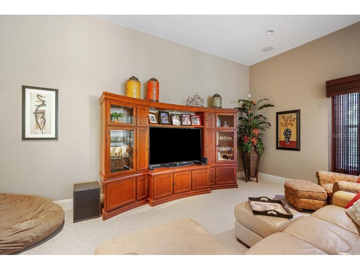 16220 Ternglade Drive Lithia FL 33547 TB8436306 image34