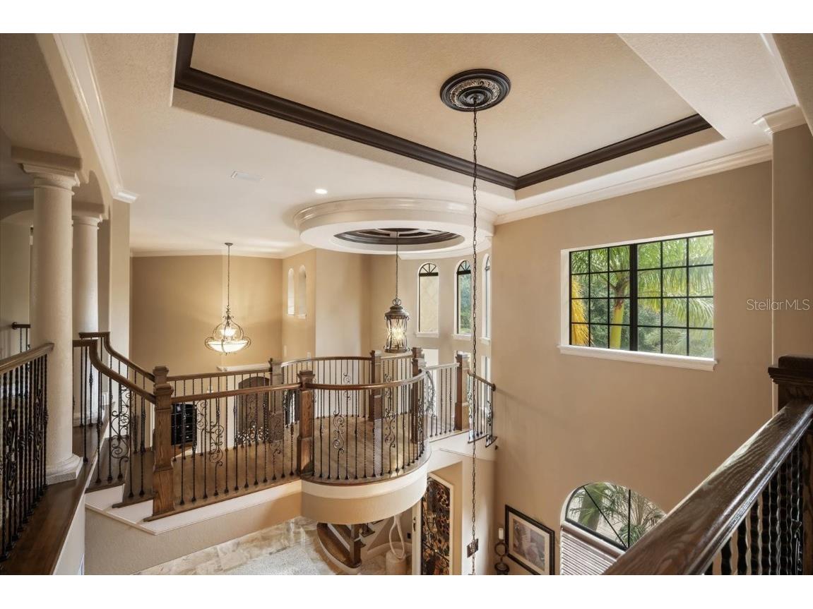 16220 Ternglade Drive Lithia FL 33547 TB8436306 image37