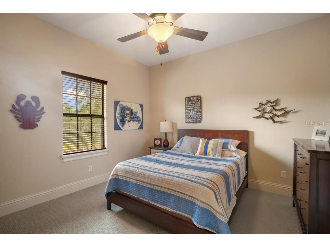 16220 Ternglade Drive Lithia FL 33547 TB8436306 image42