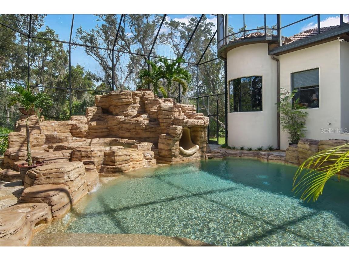 16220 Ternglade Drive Lithia FL 33547 TB8436306 image49