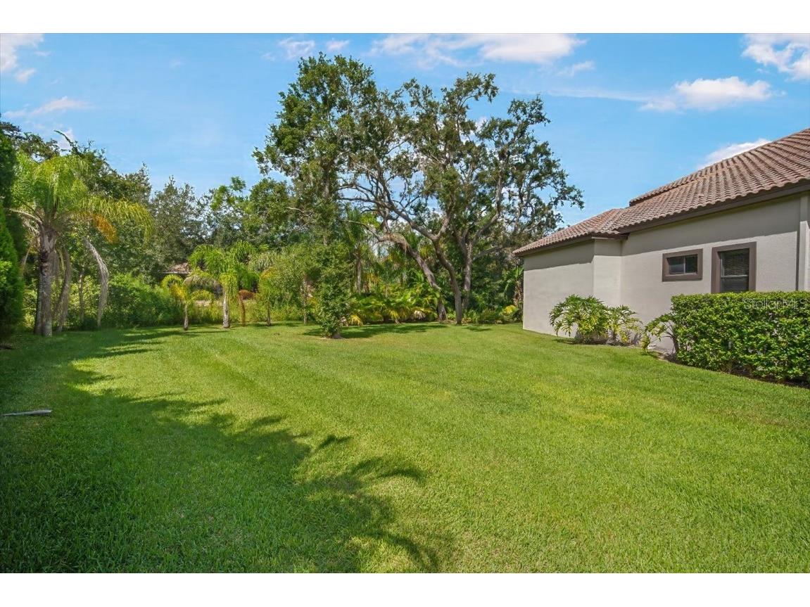 16220 Ternglade Drive Lithia FL 33547 TB8436306 image57