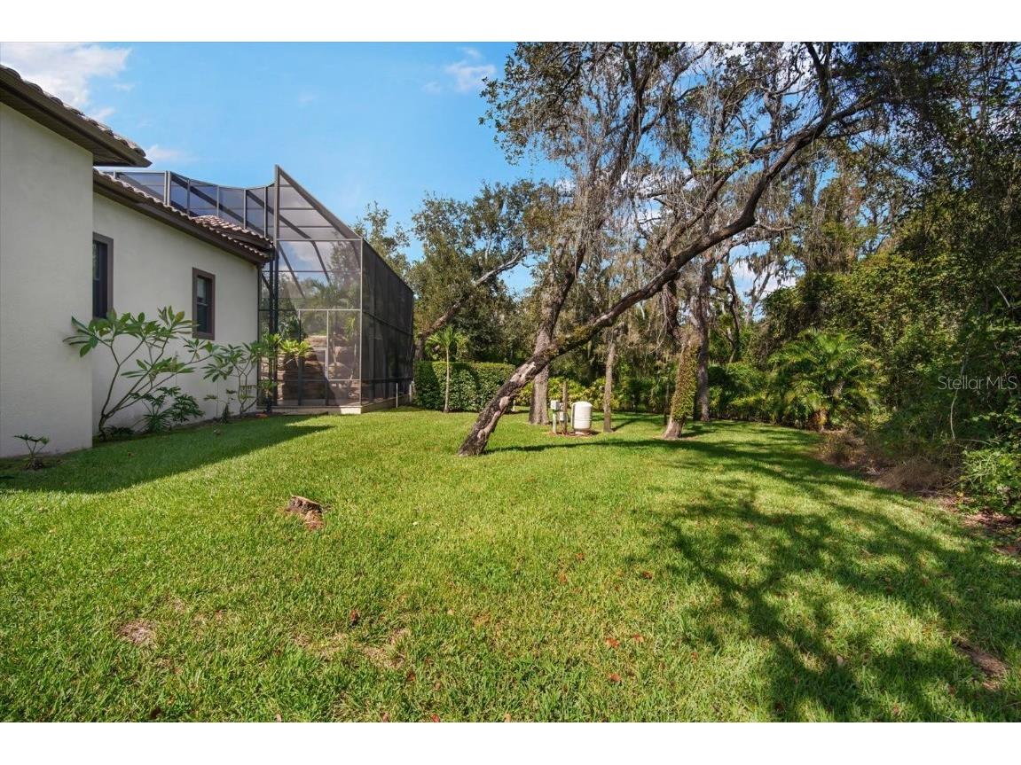 16220 Ternglade Drive Lithia FL 33547 TB8436306 image59