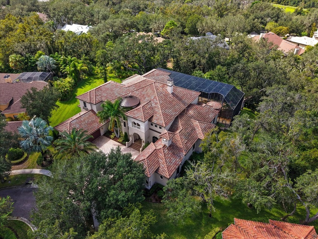 16220 Ternglade Drive Lithia FL 33547 TB8436306 image60