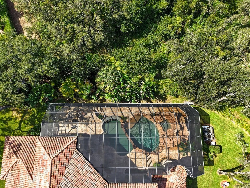 16220 Ternglade Drive Lithia FL 33547 TB8436306 image62