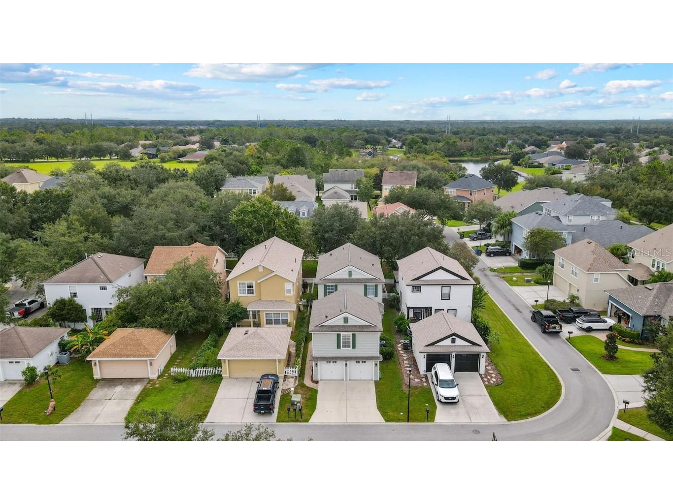 16221 Bridgecrossing Drive Lithia FL 33547 TB8429406 image37