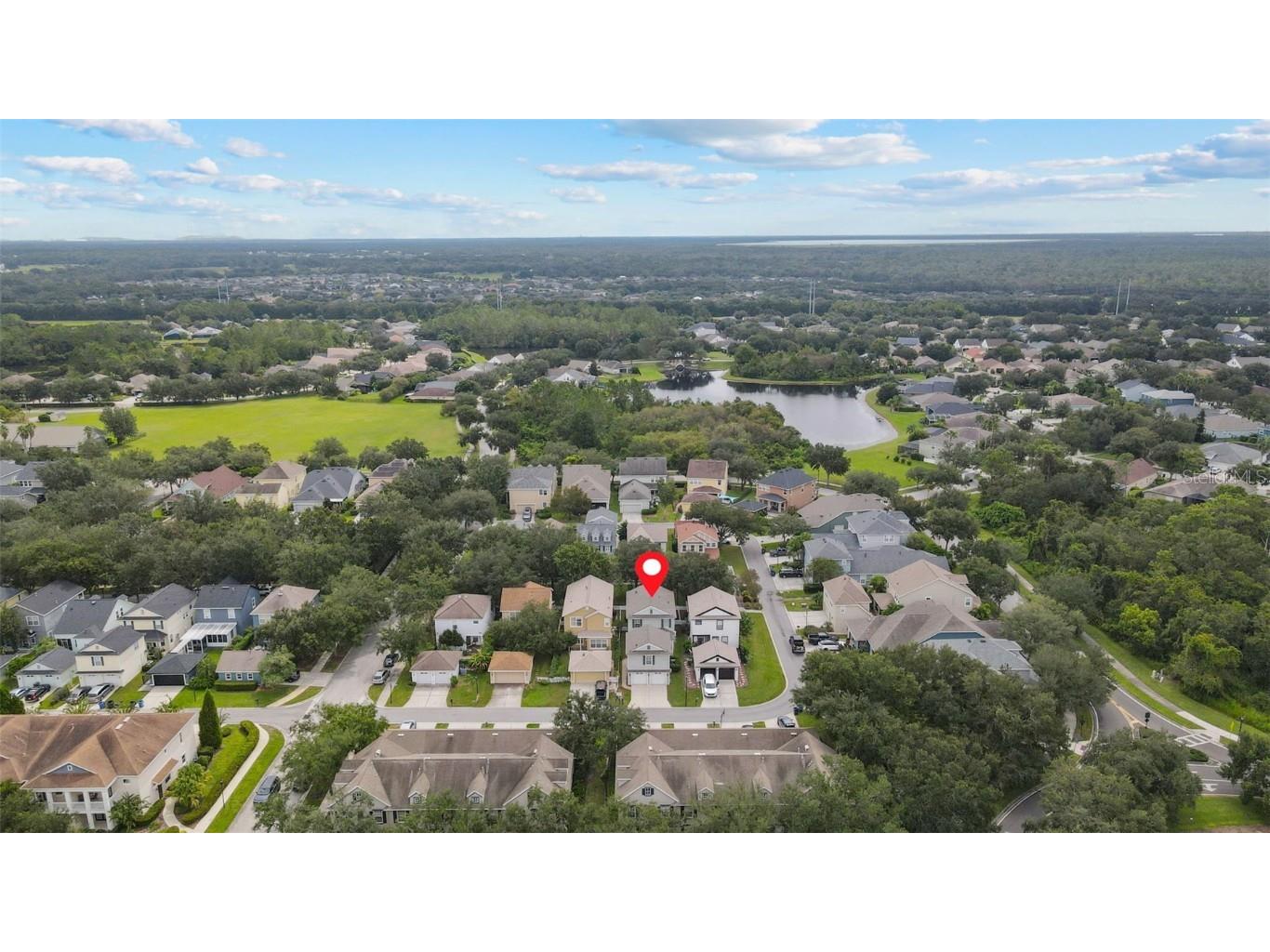 16221 Bridgecrossing Drive Lithia FL 33547 TB8429406 image41