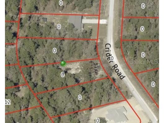 16221 Crider Road Brooksville FL 34614 TB8469321 image2