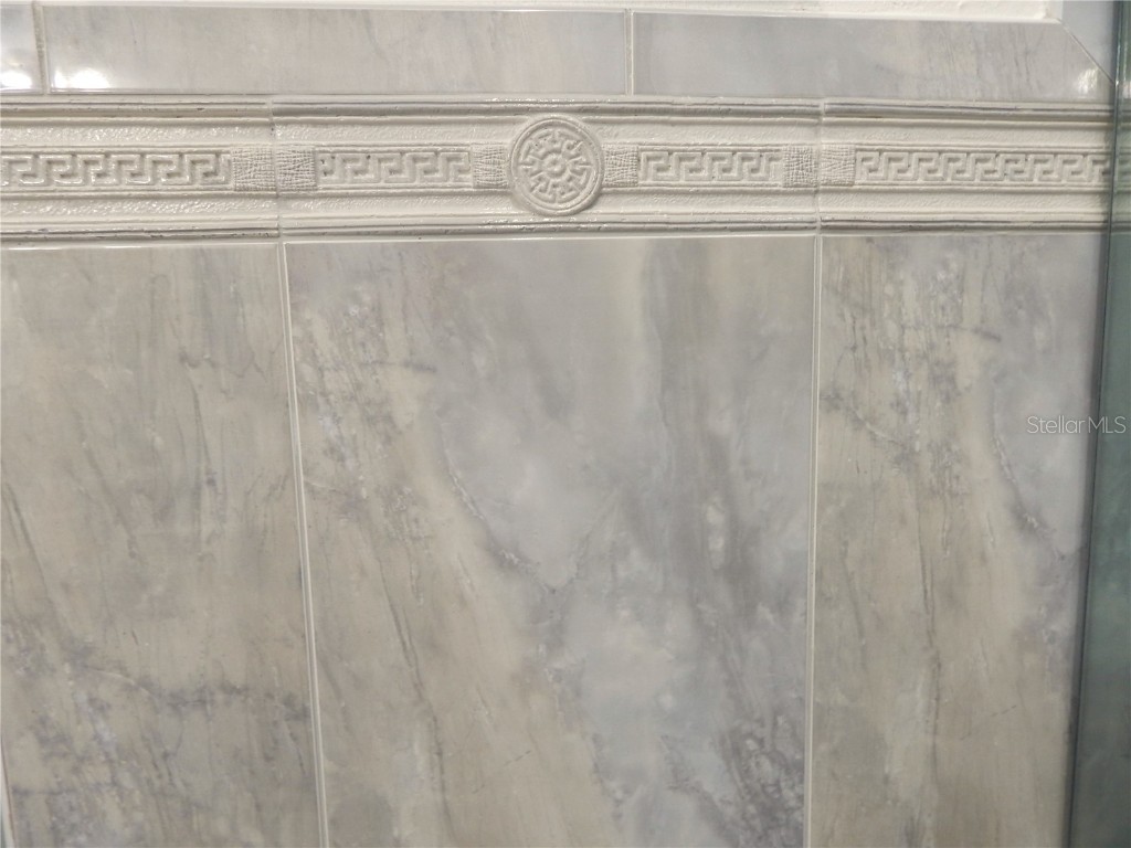 16221 Rambling Vine Drive W Tampa FL 33624 TB8427347 image16