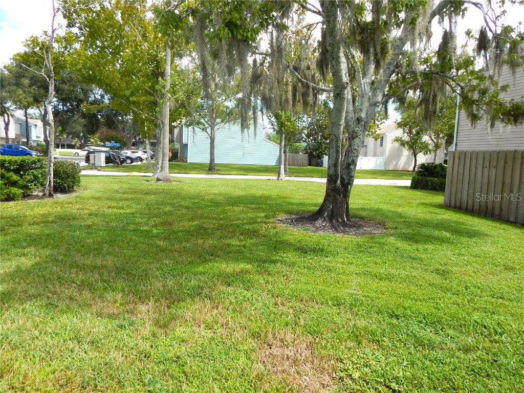 16221 Rambling Vine Drive W Tampa FL 33624 TB8427347 image25