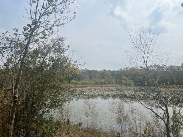 16222 Livingston Avenue Lutz FL 33559 TB8448622 image10