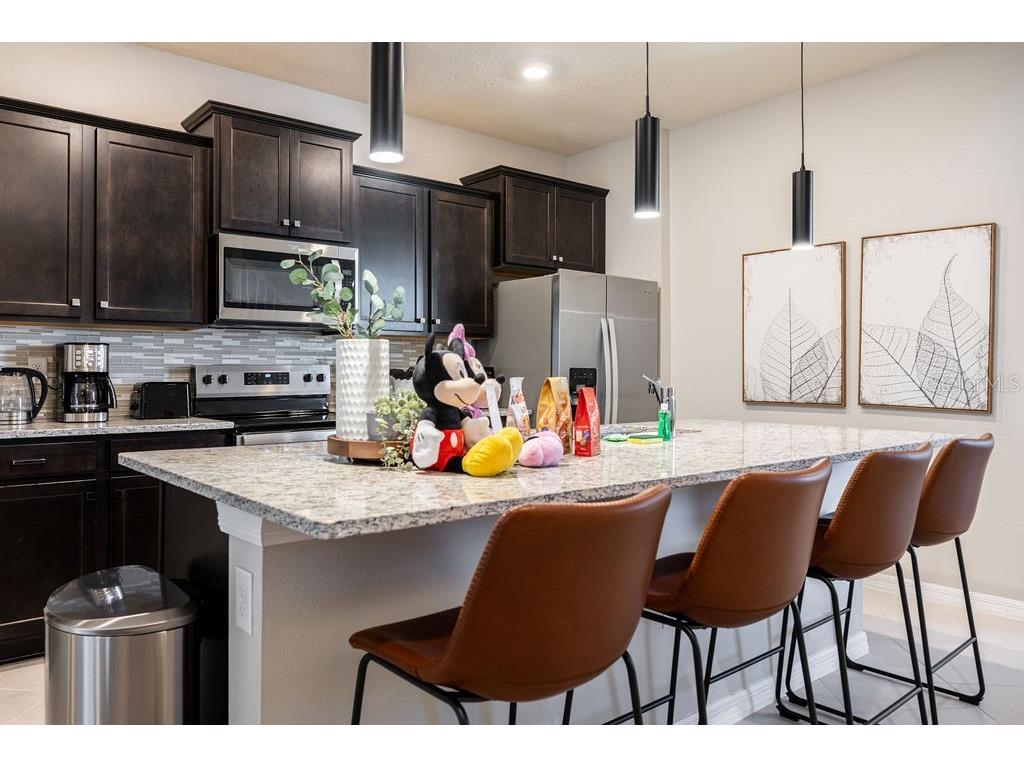 16222 Trinidad Way Clermont FL 34714 O6343226 image11