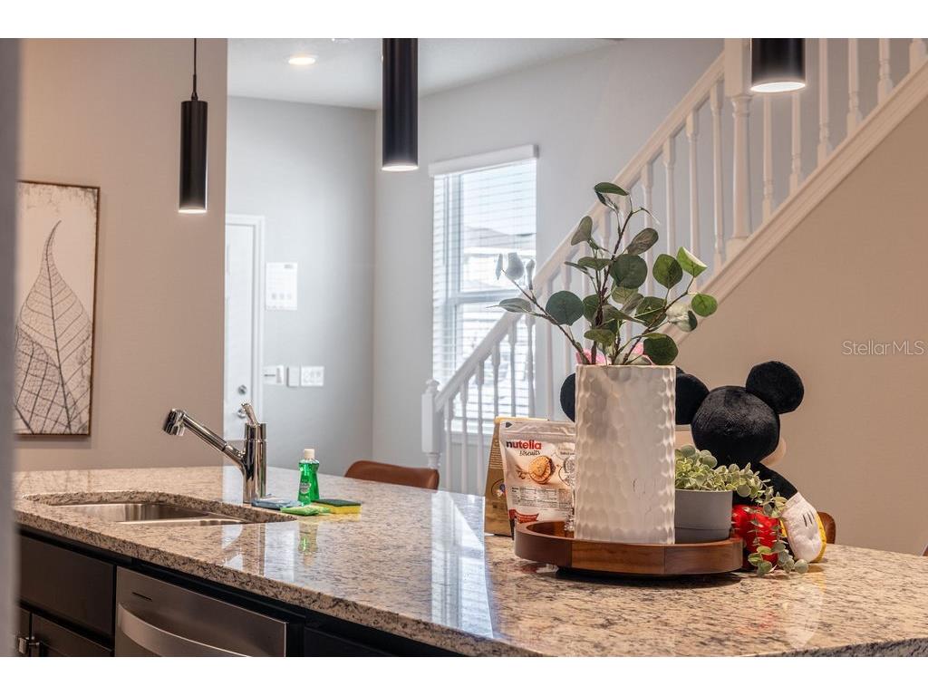 16222 Trinidad Way Clermont FL 34714 O6343226 image18