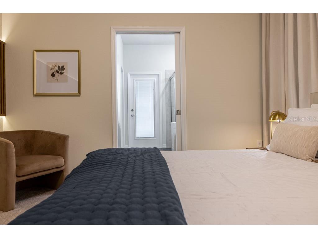 16222 Trinidad Way Clermont FL 34714 O6343226 image22