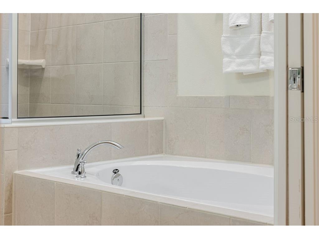 16222 Trinidad Way Clermont FL 34714 O6343226 image27