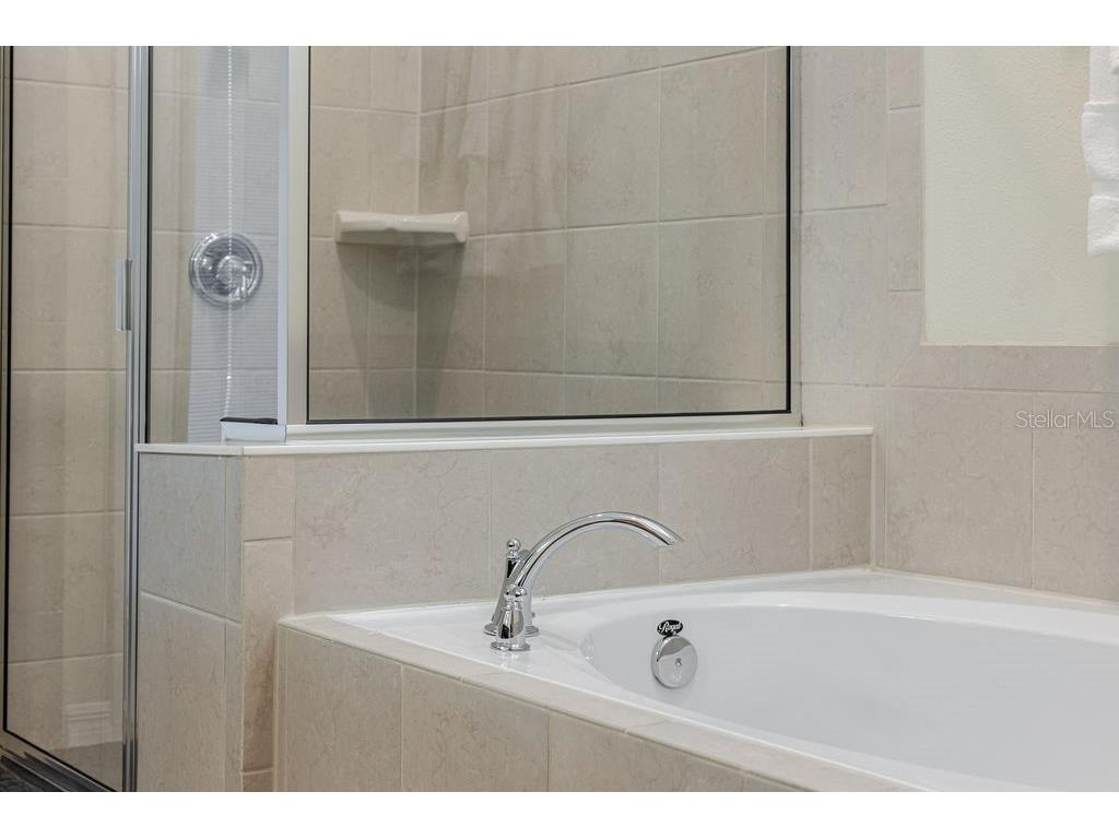 16222 Trinidad Way Clermont FL 34714 O6343226 image28