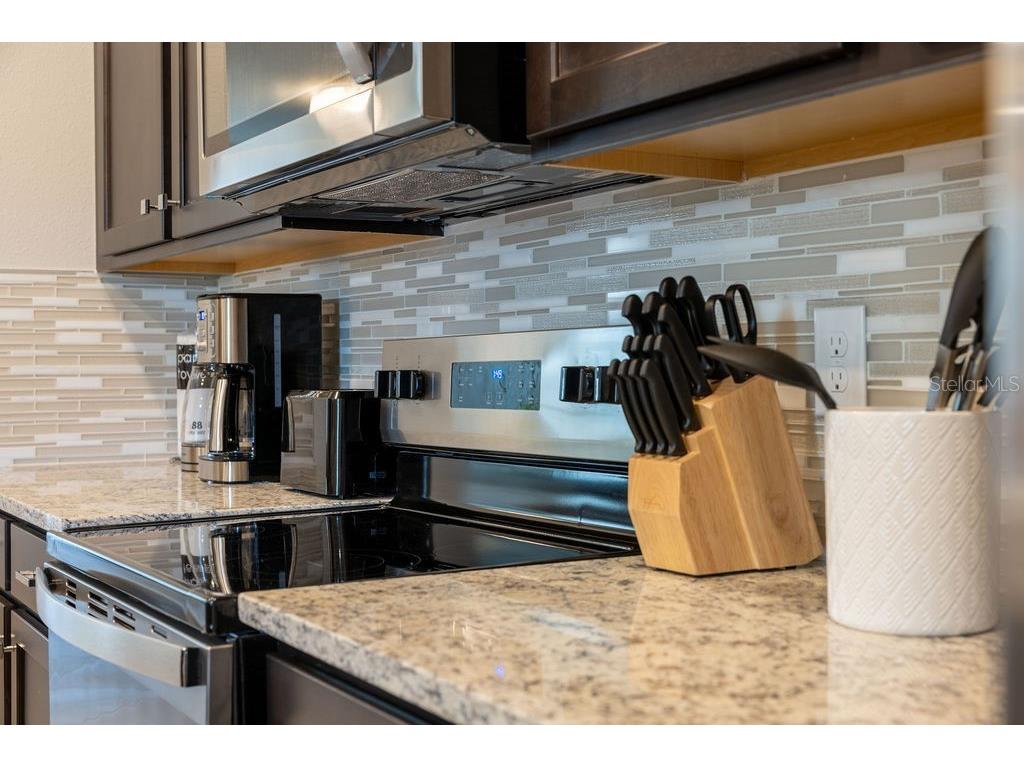 16222 Trinidad Way Clermont FL 34714 O6343226 image5