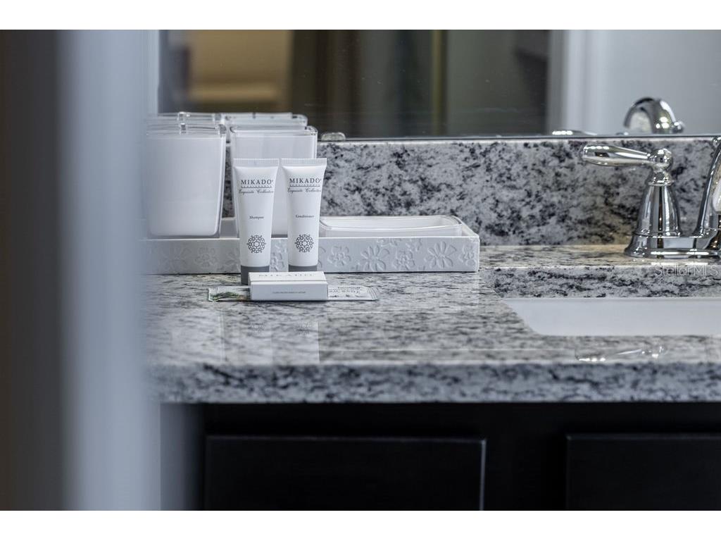 16222 Trinidad Way Clermont FL 34714 O6343226 image77