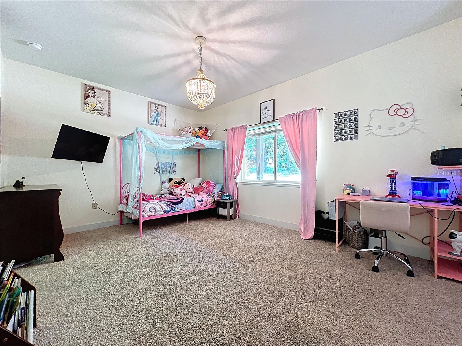 16224 Iola Woods Trail Dade City FL 33523 TB8482079 image40