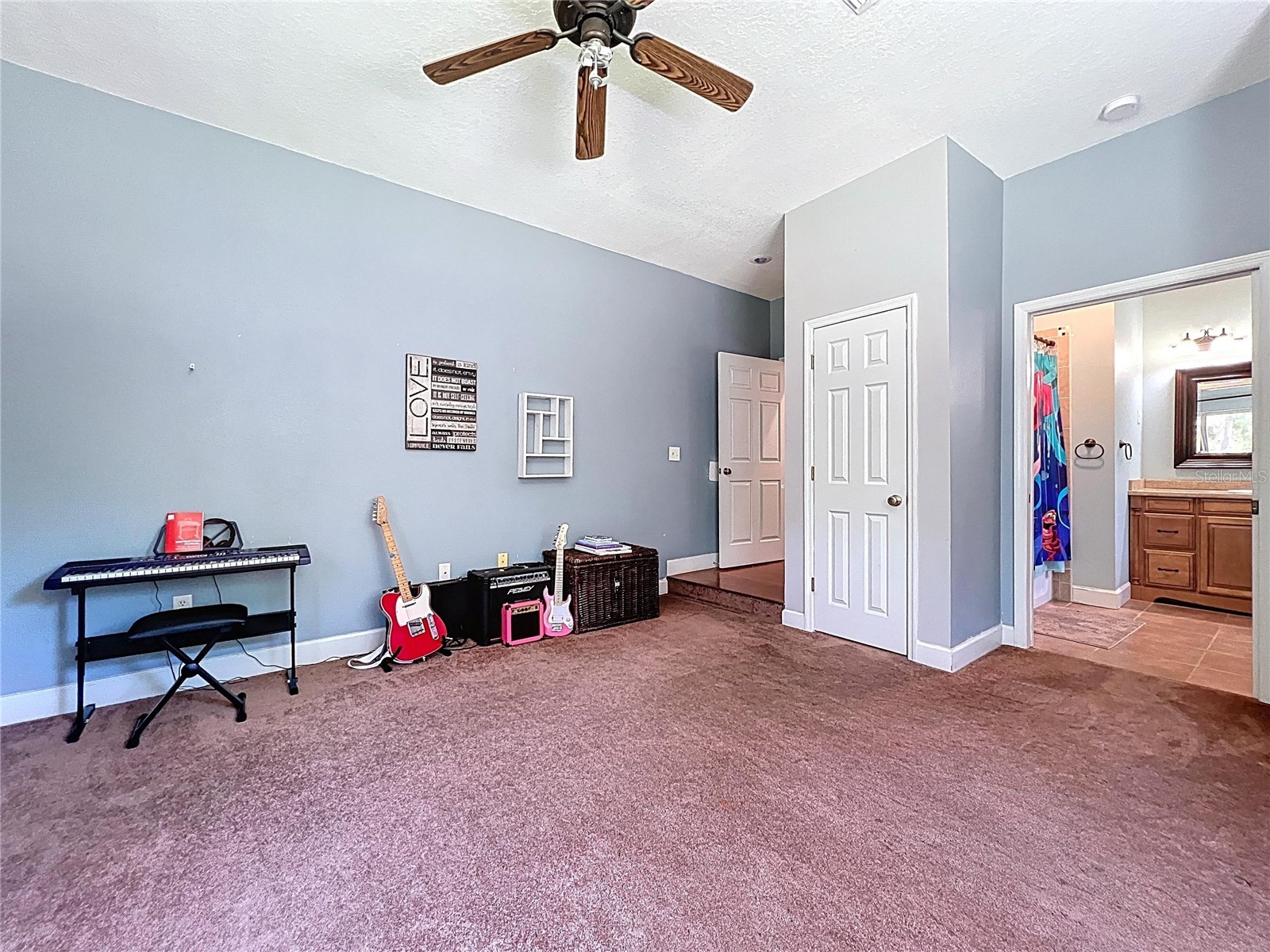 16224 Iola Woods Trail Dade City FL 33523 TB8482079 image58