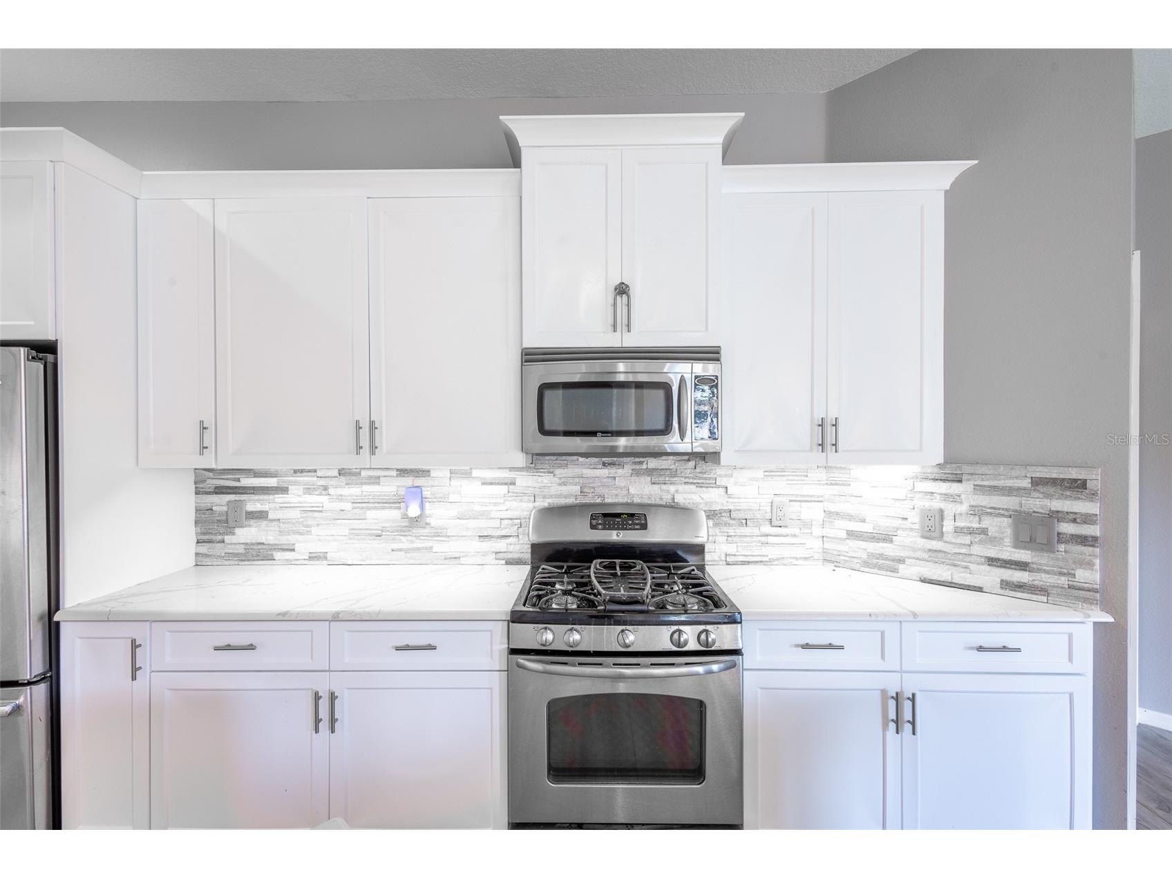 16224 Ivy Lake Drive Odessa FL 33556 TB8440939 image14