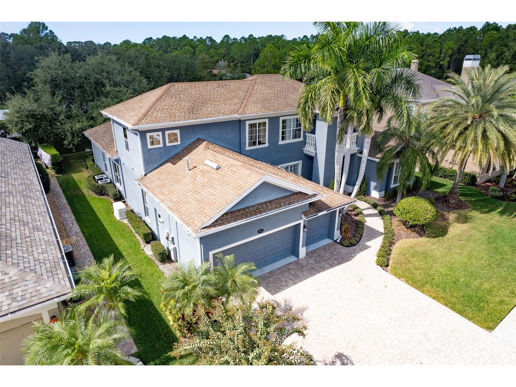 16224 Ivy Lake Drive Odessa FL 33556 TB8440939 image2