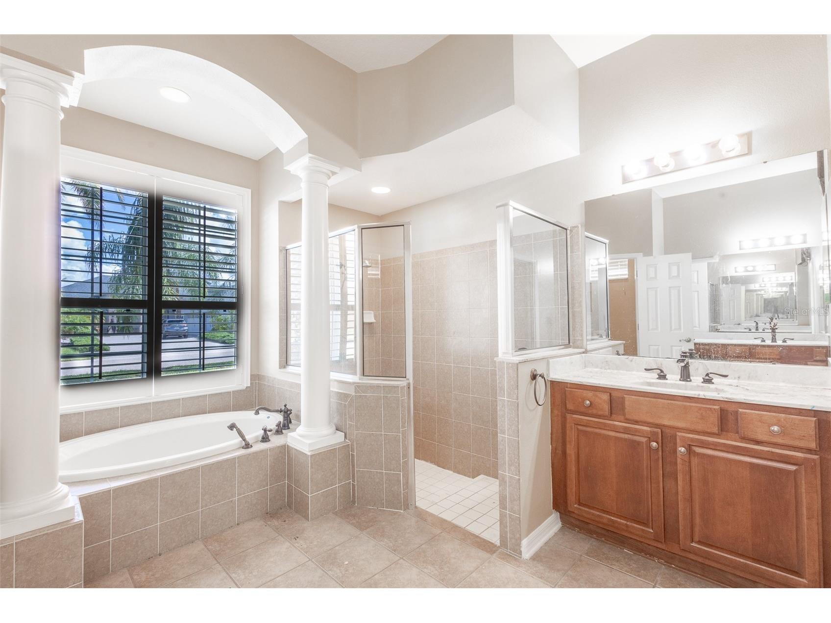 16224 Ivy Lake Drive Odessa FL 33556 TB8440939 image23