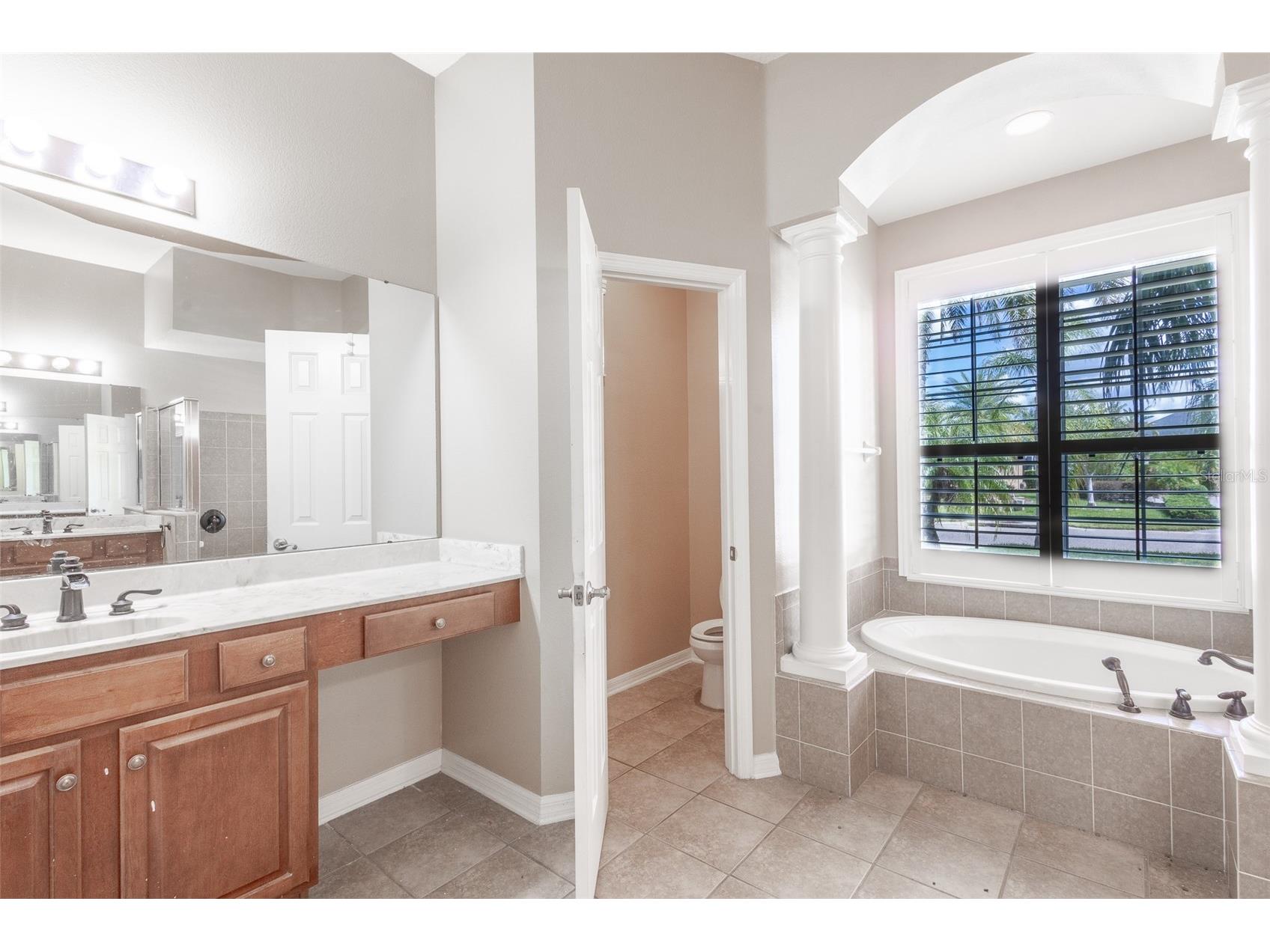 16224 Ivy Lake Drive Odessa FL 33556 TB8440939 image24