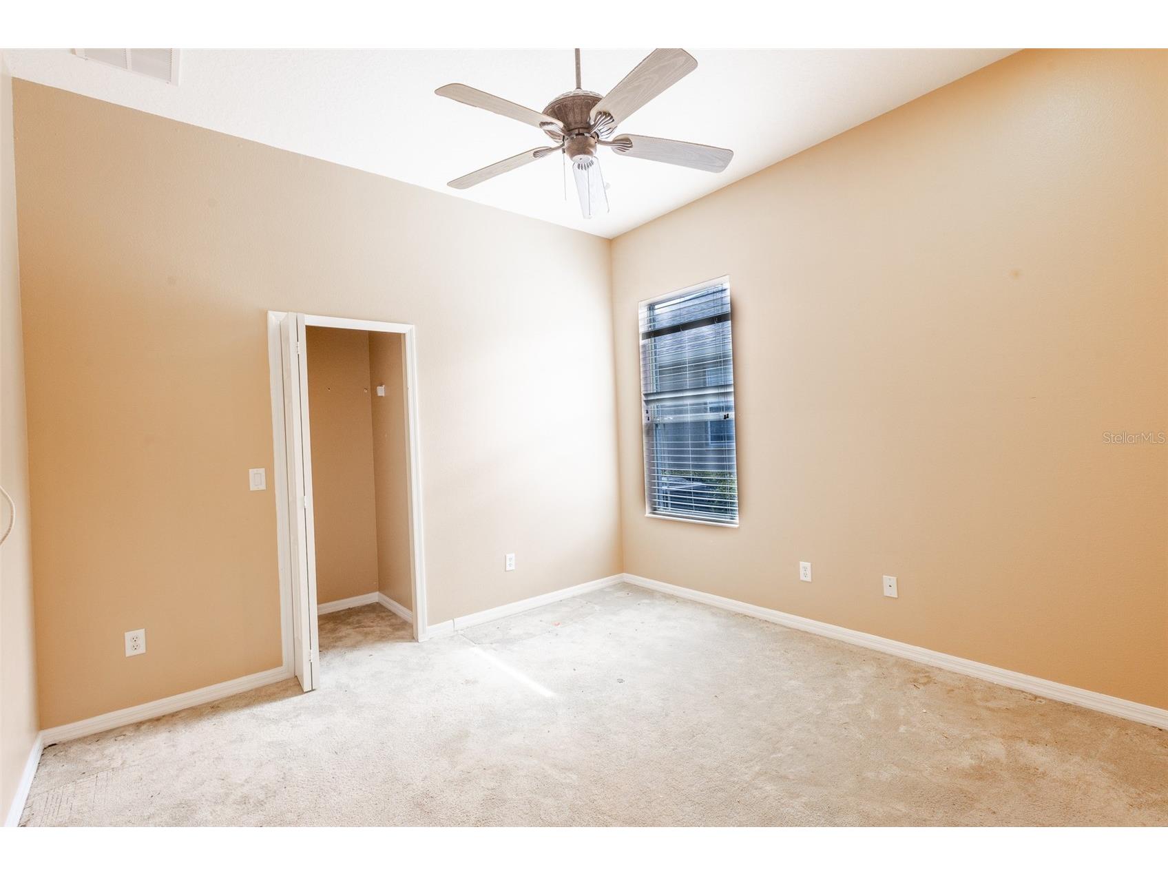 16224 Ivy Lake Drive Odessa FL 33556 TB8440939 image26