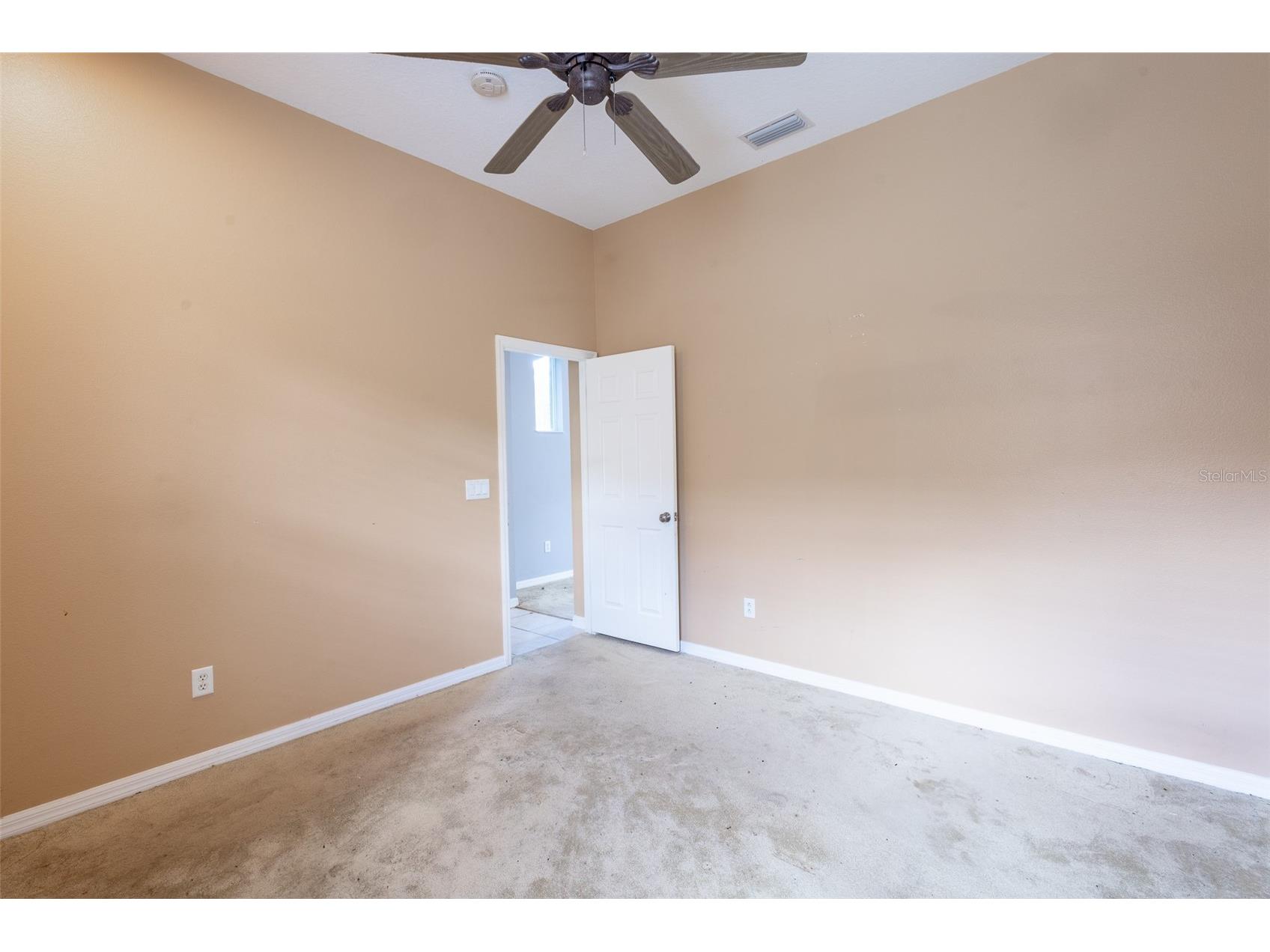 16224 Ivy Lake Drive Odessa FL 33556 TB8440939 image28