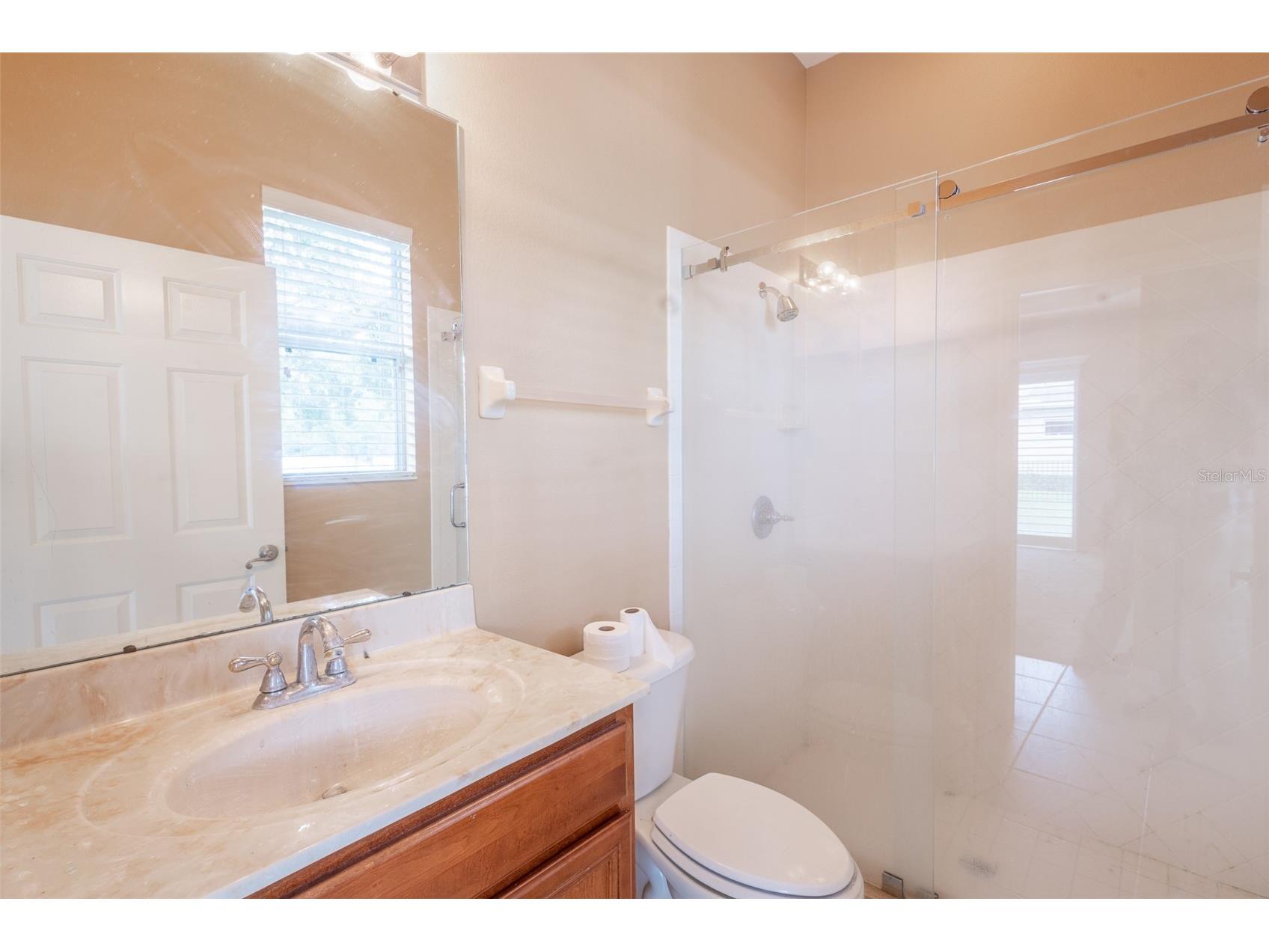 16224 Ivy Lake Drive Odessa FL 33556 TB8440939 image29