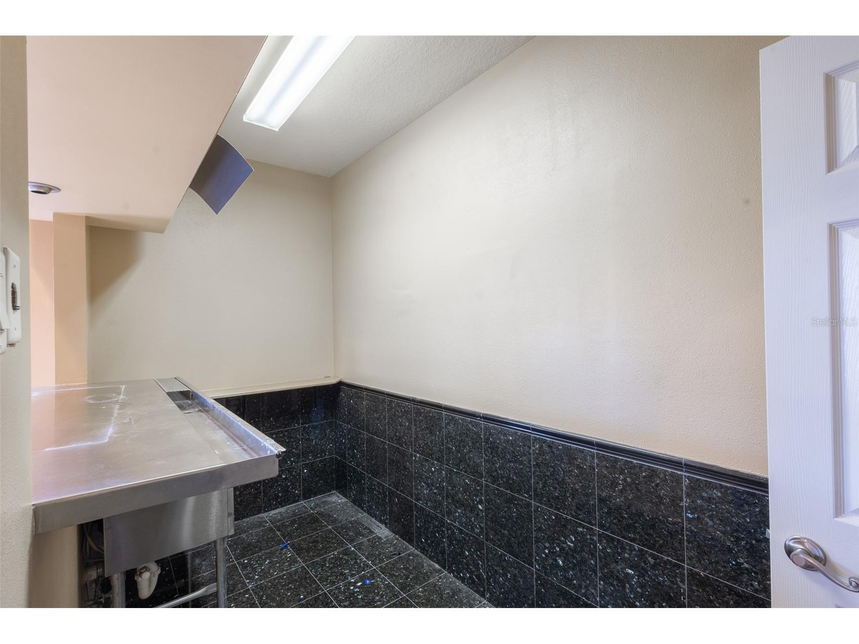 16224 Ivy Lake Drive Odessa FL 33556 TB8440939 image30